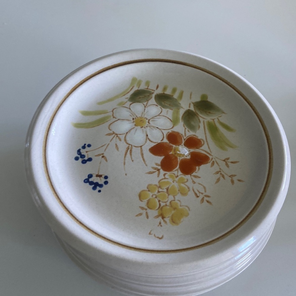 Rustic Gardens by MIKASA Floral salad plates 4